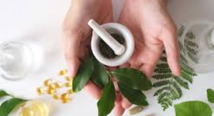 Captura de tela 2025-11-11 113845